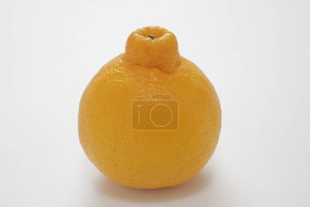 Photo for Ripe lemon isolated on white background - Royalty Free Image