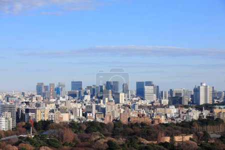 Foto de Vista del horizonte de la ciudad de Tokio en un día soleado. Japón - Imagen libre de derechos