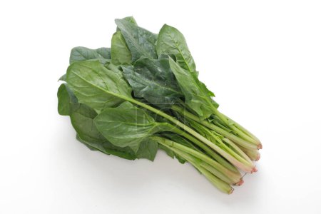 Photo for Fresh spinach leaves isolated on white background - Royalty Free Image