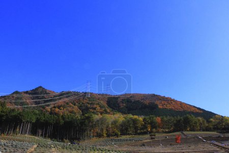 Téléchargez les photos : Beau paysage d'automne avec des arbres et des tours à haute tension dans les montagnes - en image libre de droit