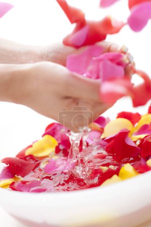 Téléchargez les photos : Femme prenant un bain de mains avec des pétales de rose dans un bol. Spa et concept de bien-être - en image libre de droit