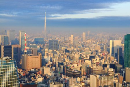 Téléchargez les photos : Tokyo Ciel arbre sur fond bleu ciel - en image libre de droit