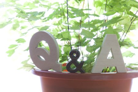 Foto de Q y un símbolo y una planta de maceta verde. concepto de las respuestas de las preguntas. - Imagen libre de derechos