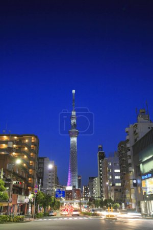 Téléchargez les photos : Ciel de Tokyo arbre en soirée sur fond - en image libre de droit