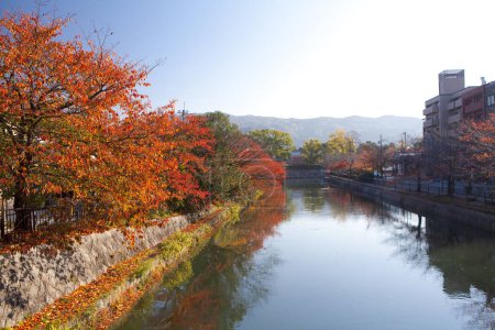 Téléchargez les photos : Arbres d'automne à la rivière dans le parc - en image libre de droit