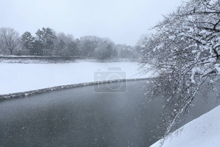 Foto de Paisaje invernal con árboles cubiertos de nieve y río - Imagen libre de derechos