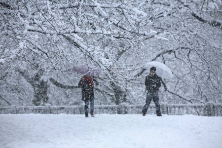 Foto de Personas caminando en el parque de invierno durante una fuerte nevada - Imagen libre de derechos