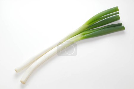 Photo for Spring onion isolated on white background - Royalty Free Image