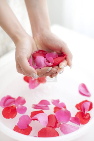 Photo for Woman getting hand bath with rose petals in bowl. Spa and wellness concept - Royalty Free Image