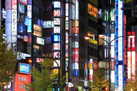 Téléchargez les photos : Ville animée vue sur les rues, concept urbain arrière-plan, Tokyo, Japon - en image libre de droit