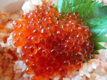 Téléchargez les photos : Gros plan du caviar de saumon - en image libre de droit