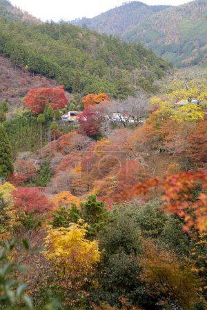Foto de Colores de otoño sobre el río Katsura en las montañas de Arashiyama, Kyoto, Japón - Imagen libre de derechos