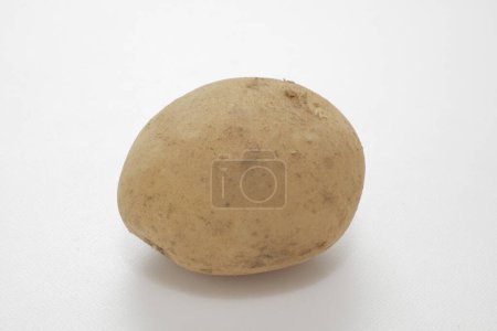 Photo for Fresh raw organic potato, close up - Royalty Free Image