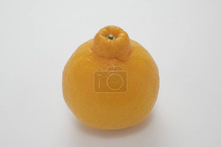 Téléchargez les photos : Citron mûr isolé sur fond blanc - en image libre de droit