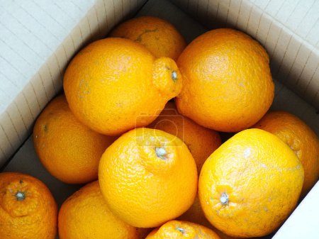 Téléchargez les photos : Oranges fraîches dans une boîte - en image libre de droit