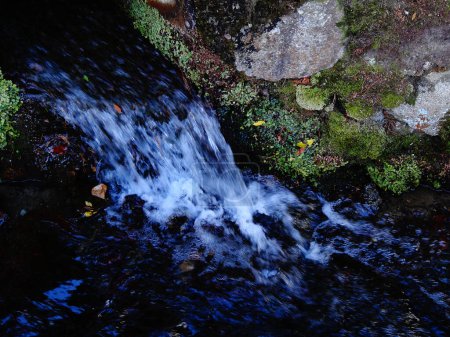 Téléchargez les photos : View of waterfall in the forest - en image libre de droit