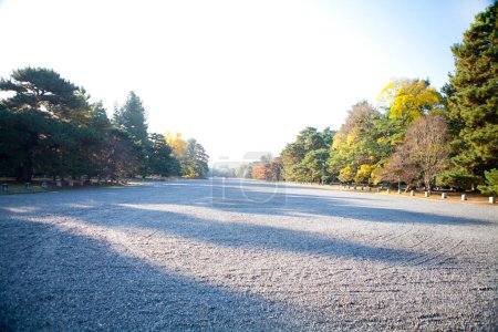 Foto de Vista del parque de otoño con árboles - Imagen libre de derechos