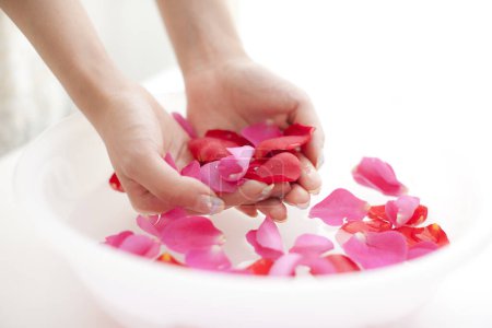 Photo for Woman keeps her hands in bowl with water and rose petals - Royalty Free Image