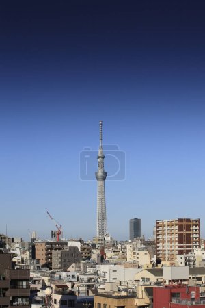 Tokyo Ciel arbre sur fond bleu ciel