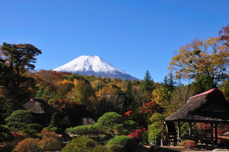 Téléchargez les photos : Montagne Fuji et arbres d'automne, Japon - en image libre de droit