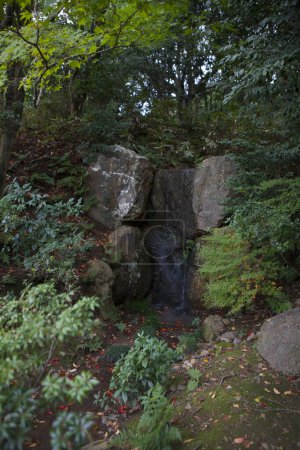 Téléchargez les photos : Jardin japonais en automne - en image libre de droit