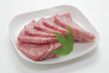 Téléchargez les photos : Bœuf japonais cru (bœuf sendai) sur fond - en image libre de droit