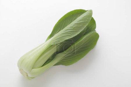 fresh green pak choi cabbage isolated on white background