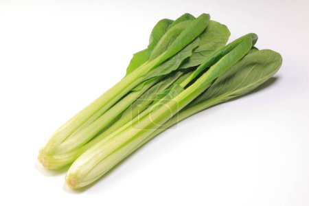 Téléchargez les photos : Bok choy légumes isolés sur le fond blanc. - en image libre de droit
