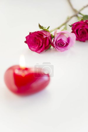 Foto de Hermosa vela ardiente con pétalos de flores de color rosa sobre fondo blanco - Imagen libre de derechos
