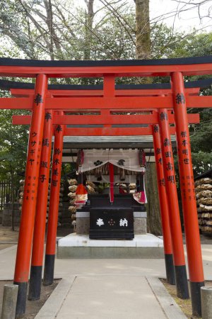 Photo for Scenic shot of beautiful ancient Japanese shrine with red gates in row - Royalty Free Image