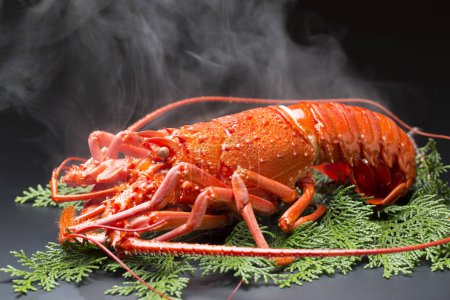 Téléchargez les photos : Vue rapprochée du homard frais et gastronomique cuit - en image libre de droit