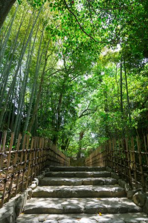 Foto de Escaleras en japonés verde jardín - Imagen libre de derechos
