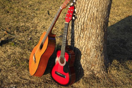 Téléchargez les photos : Guitares acoustiques près de l'arbre à l'automne sur fond de nature - en image libre de droit