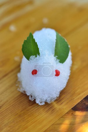 Foto de Conejo de nieve llamado Yuki usagi en Japón - Imagen libre de derechos