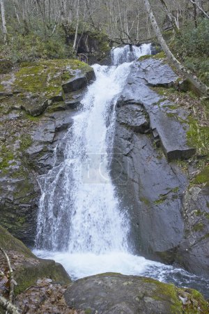 Téléchargez les photos : Petite cascade dans une belle forêt en montagne - en image libre de droit