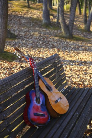 Foto de Guitarras acústicas cerca del árbol en otoño en el fondo de la naturaleza - Imagen libre de derechos