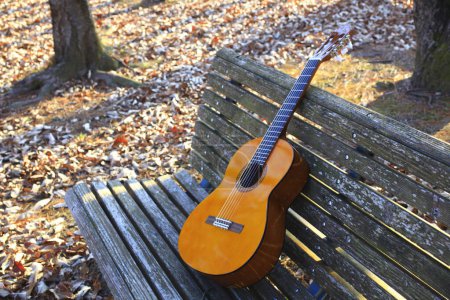 Téléchargez les photos : Guitare acoustique en automne feuilles sur fond - en image libre de droit