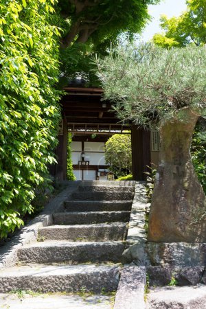 Téléchargez les photos : Escaliers dans le jardin vert japonais - en image libre de droit