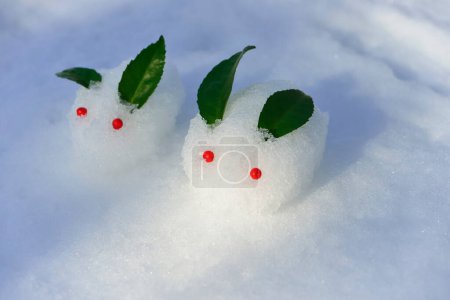 Téléchargez les photos : Lapins des neiges appelés Yuki usagi au Japon - en image libre de droit