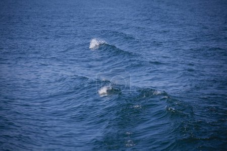 Téléchargez les photos : Belle surface d'eau de mer bleue et vagues fond naturel - en image libre de droit