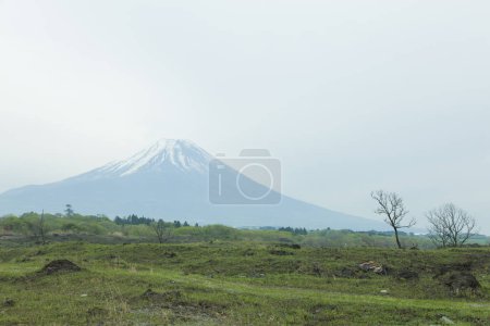 Téléchargez les photos : Prairie verte et mont Fuji au Japon - en image libre de droit