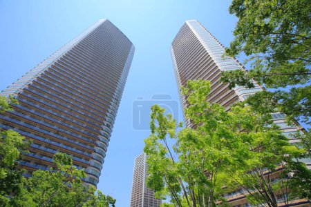 Téléchargez les photos : Vue à angle bas des grands bâtiments modernes et des arbres verts de la ville - en image libre de droit