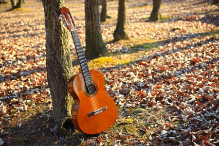 Téléchargez les photos : Guitare acoustique en automne feuilles sur fond - en image libre de droit