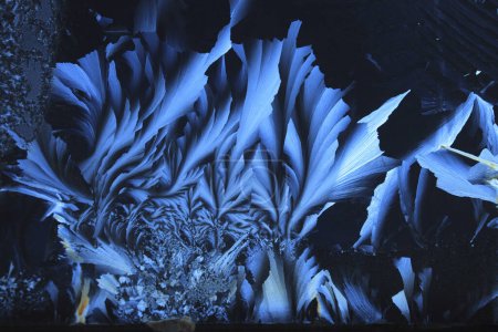 Foto de Hermosa textura congelada, fondo de naturaleza abstracta - Imagen libre de derechos