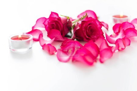 Photo for Beautiful burning candles with pink flower petals on white background - Royalty Free Image