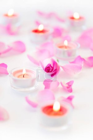 Téléchargez les photos : Belles bougies allumées avec des pétales de fleurs roses sur fond blanc - en image libre de droit