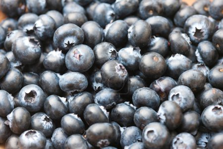 Photo for Close-up view of fresh ripe organic blueberries - Royalty Free Image