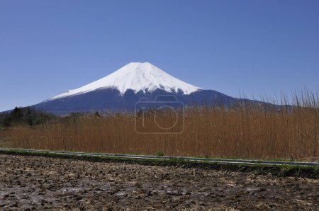 Téléchargez les photos : Mont fuji au Japon - en image libre de droit