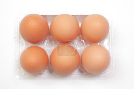 Foto de Vista de cerca de los huevos frescos en paquete de plástico sobre fondo blanco - Imagen libre de derechos
