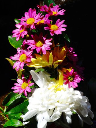 Photo for Beautiful flowers bouquet on black background - Royalty Free Image